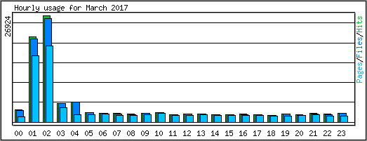 Hourly usage