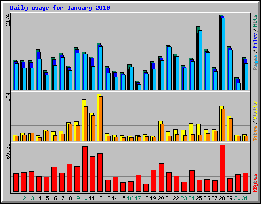 Daily usage for January 2010