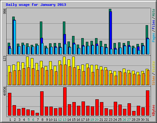 Daily usage for January 2013