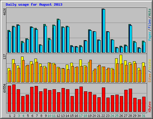 Daily usage for August 2013