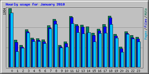 Hourly usage for January 2010