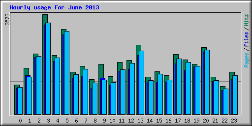 Hourly usage for June 2013