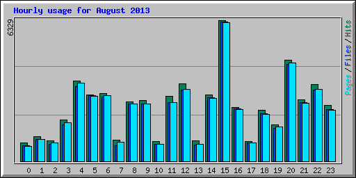 Hourly usage for August 2013