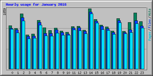 Hourly usage for January 2016