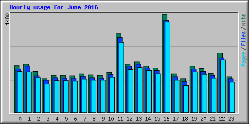 Hourly usage for June 2016