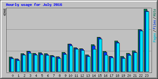 Hourly usage for July 2016